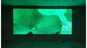 MÀN HÌNH LED P2.5